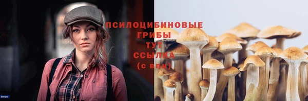 хмурый Алексеевка